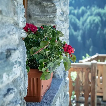 Seconda Stella A Destra Apartment Valgrisenche Exterior photo