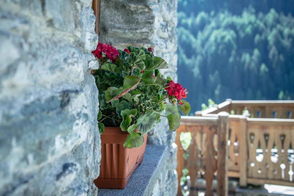 Apartment Seconda Stella A Destra